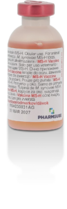 pharmsure ms-h bottle